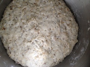 Porridge Bread - Proved